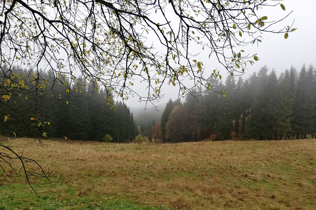 Fahrradtour ab Auerhahn (Foto: Uli Triebel)