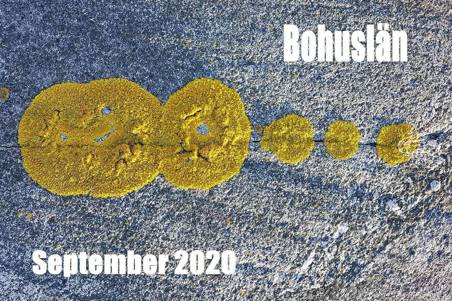 Bohuslän Schweden 2020 (Foto: Skadi/Matthias Michalowski)
