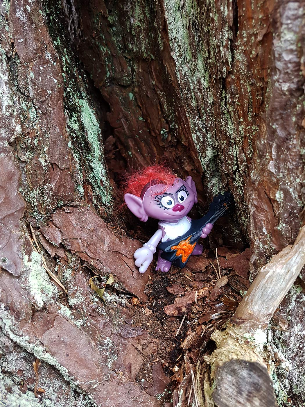 Bohuslän Schweden 2020 (Foto: Skadi/Matthias Michalowski)