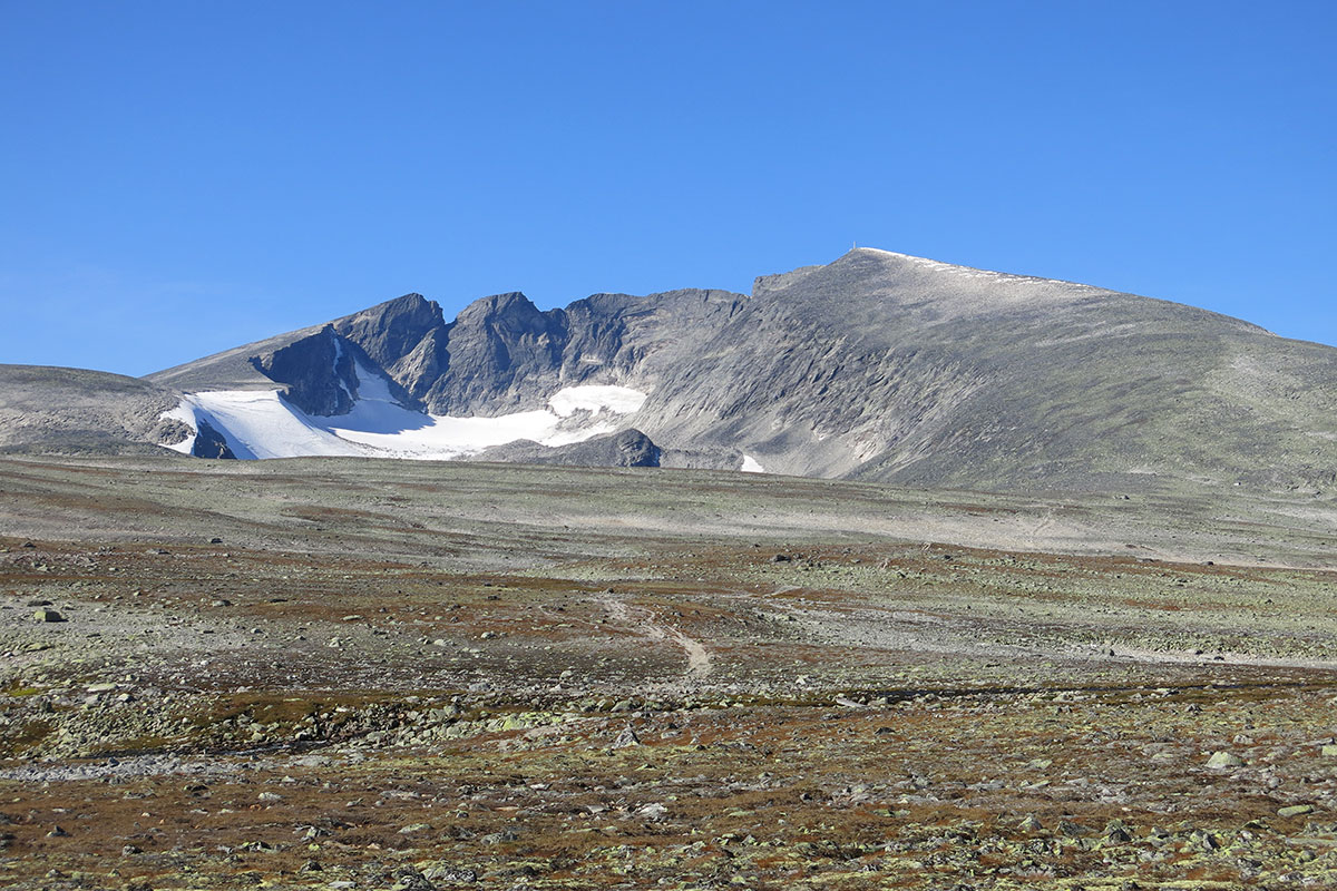 2021 Dovrefjell: zur Snøhetta (Foto: Matthias Michalowski)