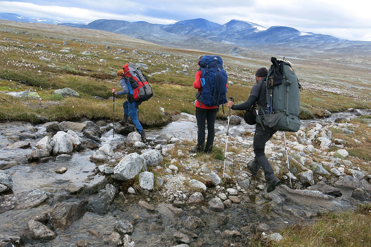 2021 Dovrefjell: Amotsdal (Foto: Matthias Michalowski)