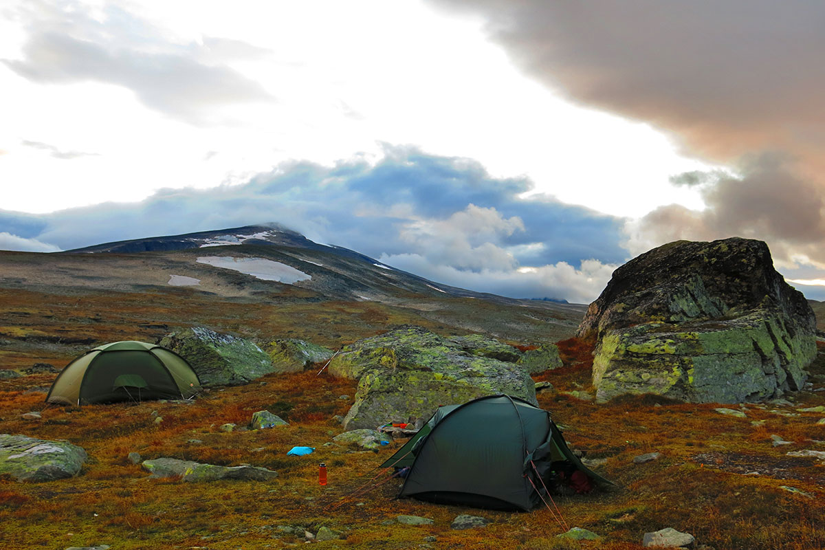 2021 Dovrefjell: Stropla-Tal (Foto: Matthias Michalowski)