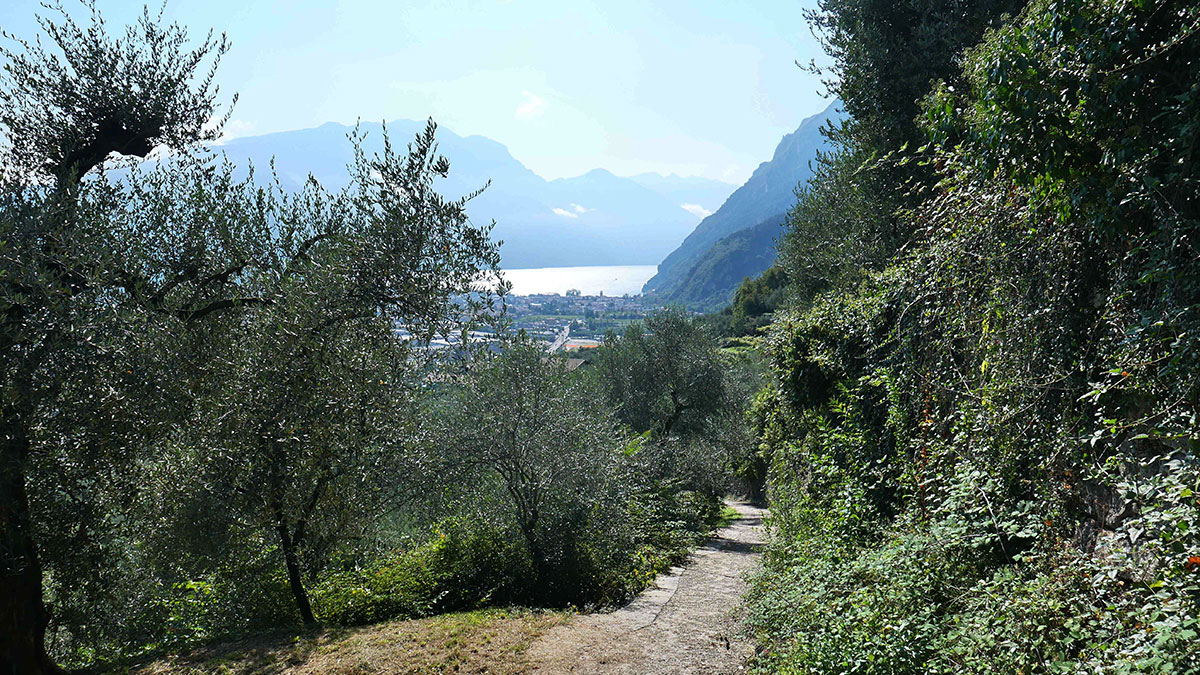 2021 Arco am Gardasee (Uli Schröder)