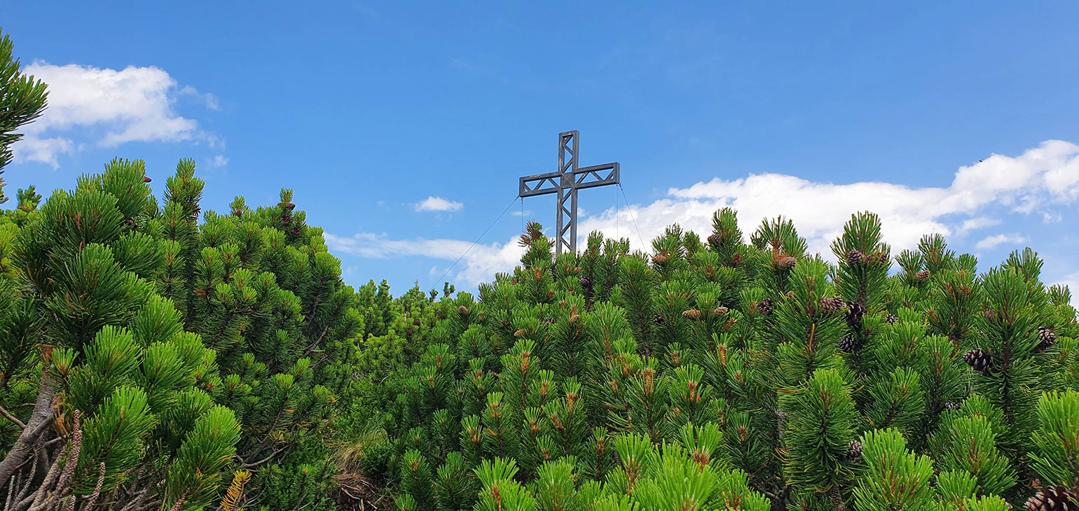 Gastein-Trail 2021 (Foto: Sandy Künster)
