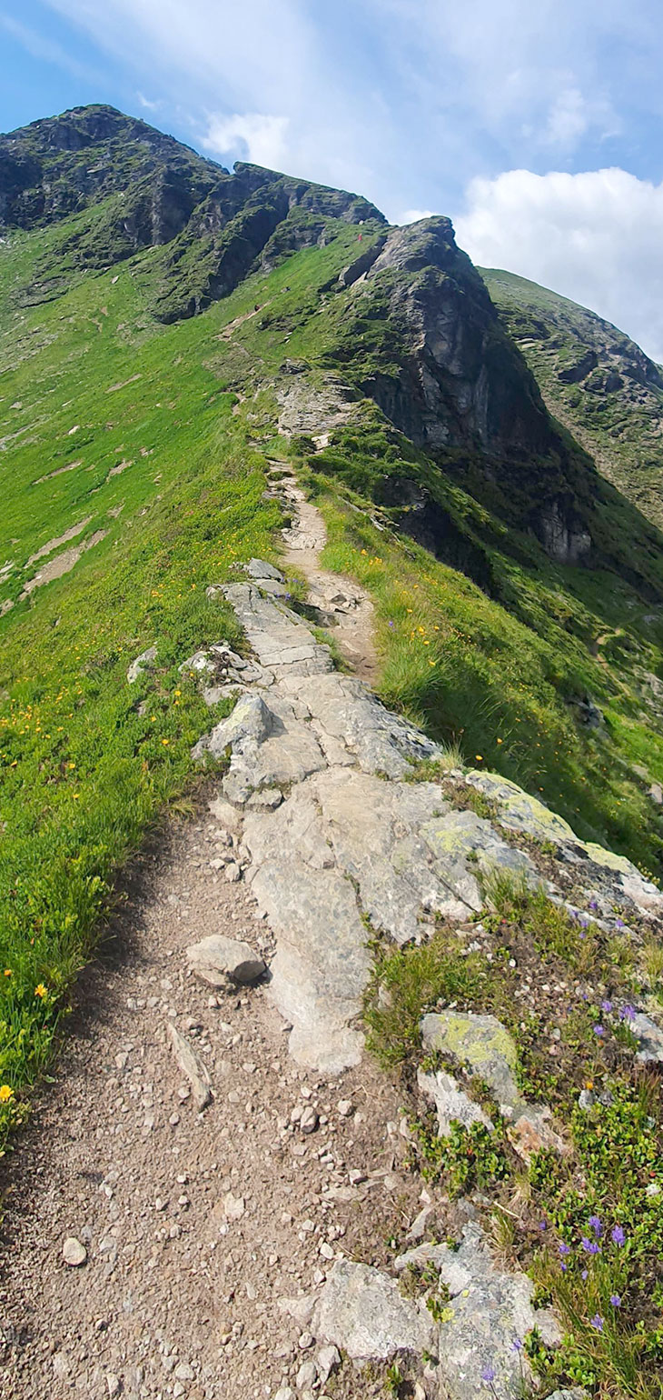 Gastein-Trail 2021 (Foto: Sandy Künster)