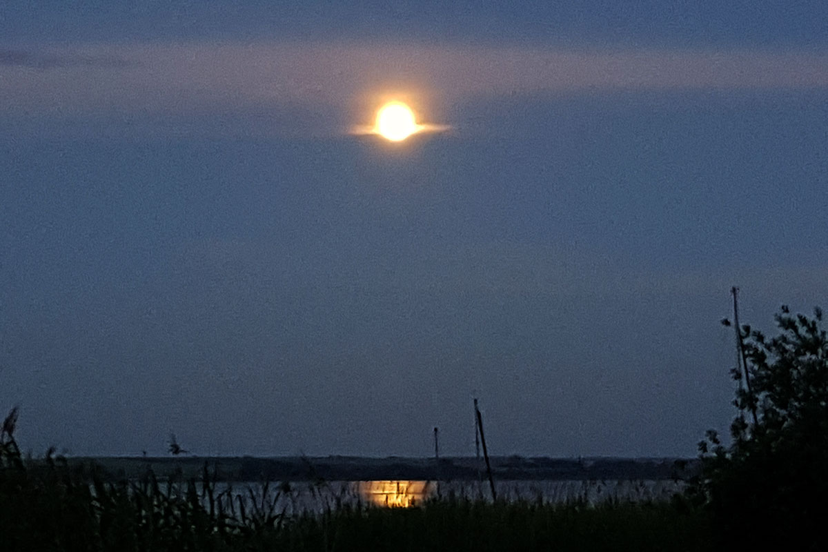 2021 Oder-Neiße-Radweg (Foto: Karin Rennert)