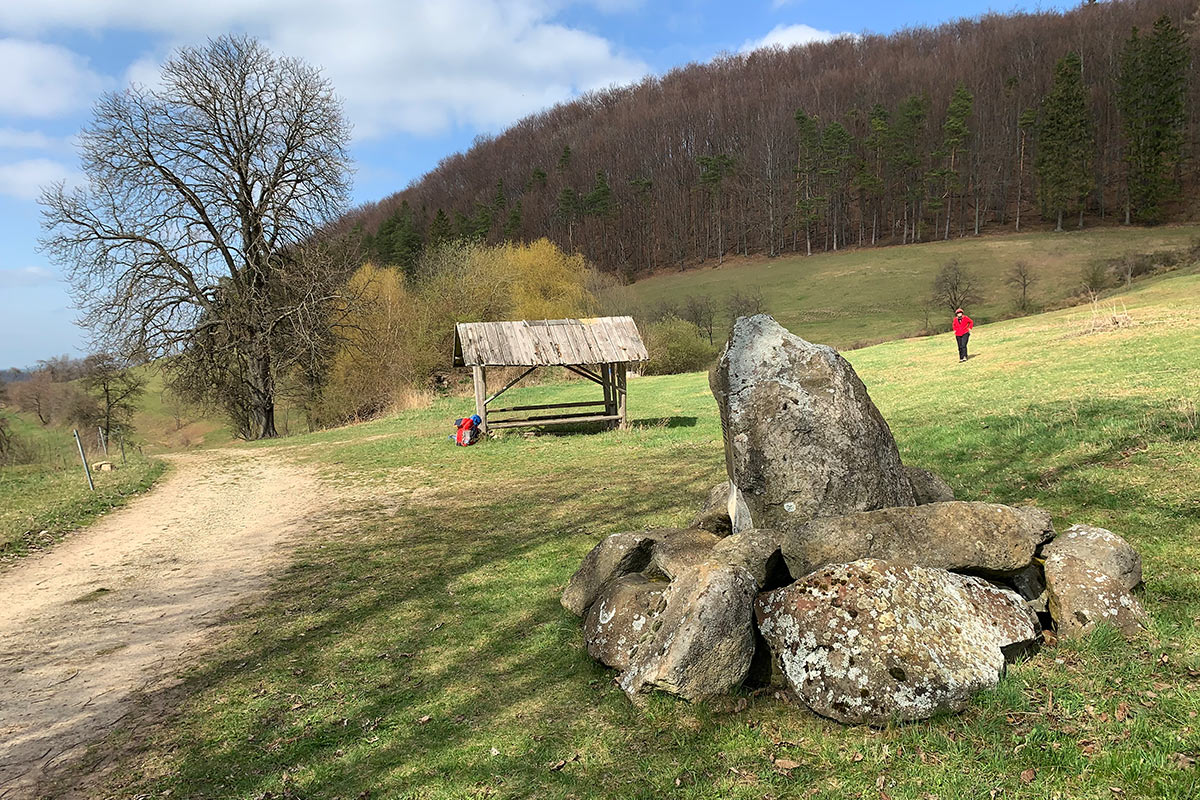 2021 Osterwanderung: Grünes Band (Foto: Andreas Kuhrt)