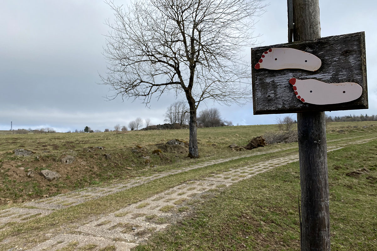 2021 Osterwanderung: Grünes Band (Foto: Manuela Hahnebach)