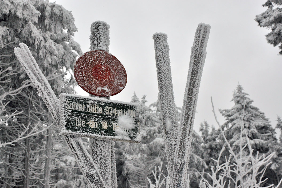 Rennsteig 2021: Suhler Hütte (Foto: Klaus Wahl)