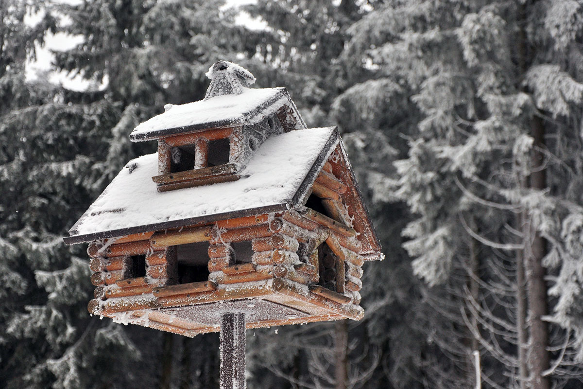 Rennsteig 2021: Suhler Hütte (Foto: Klaus Wahl)