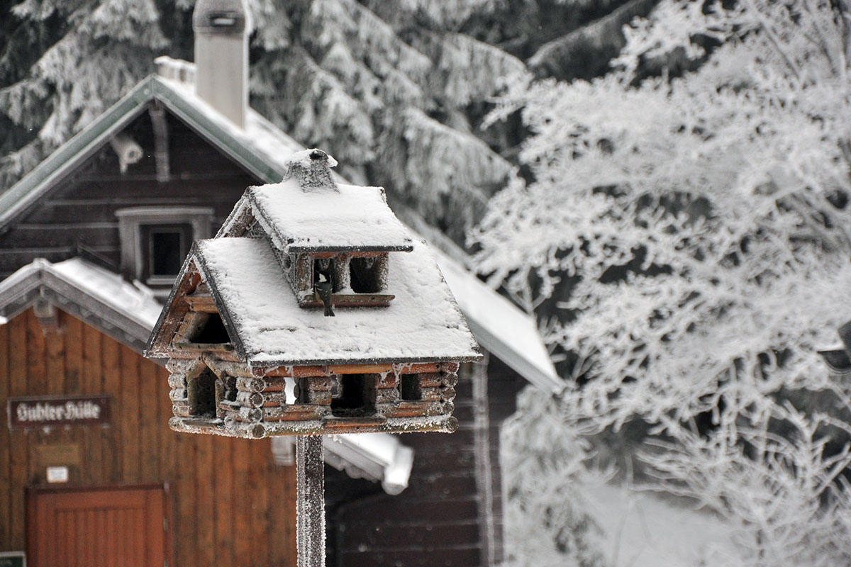 Rennsteig 2021: Suhler Hütte (Foto: Klaus Wahl)