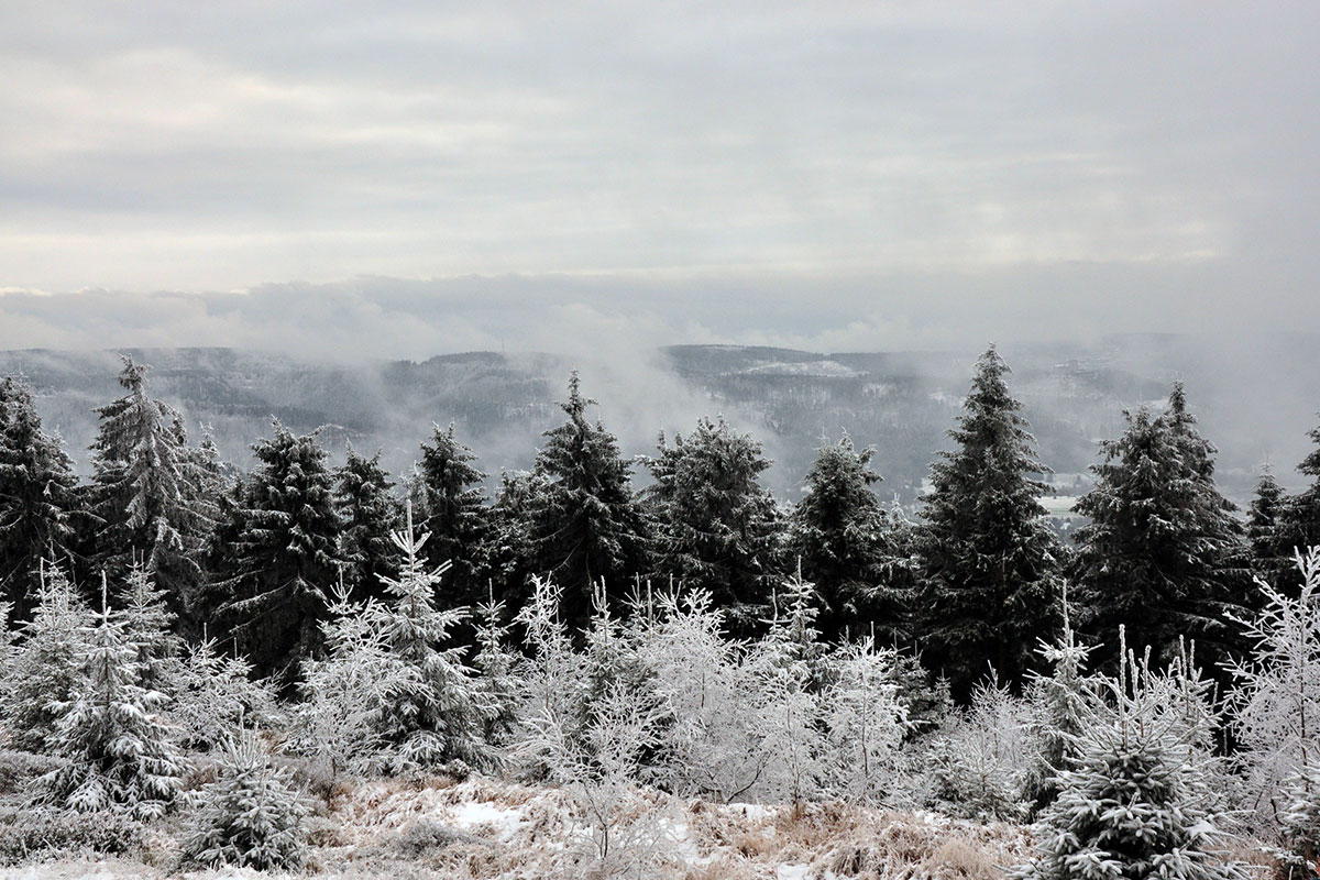 Rennsteig 2021: Plänkners Aussicht (Foto: Klaus Wahl)