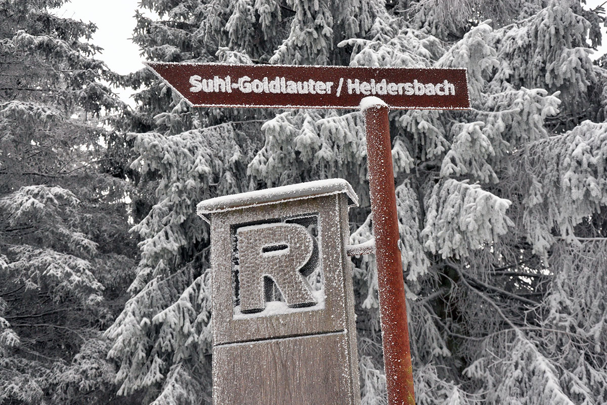 Rennsteig 2021 (Foto: Klaus Wahl)