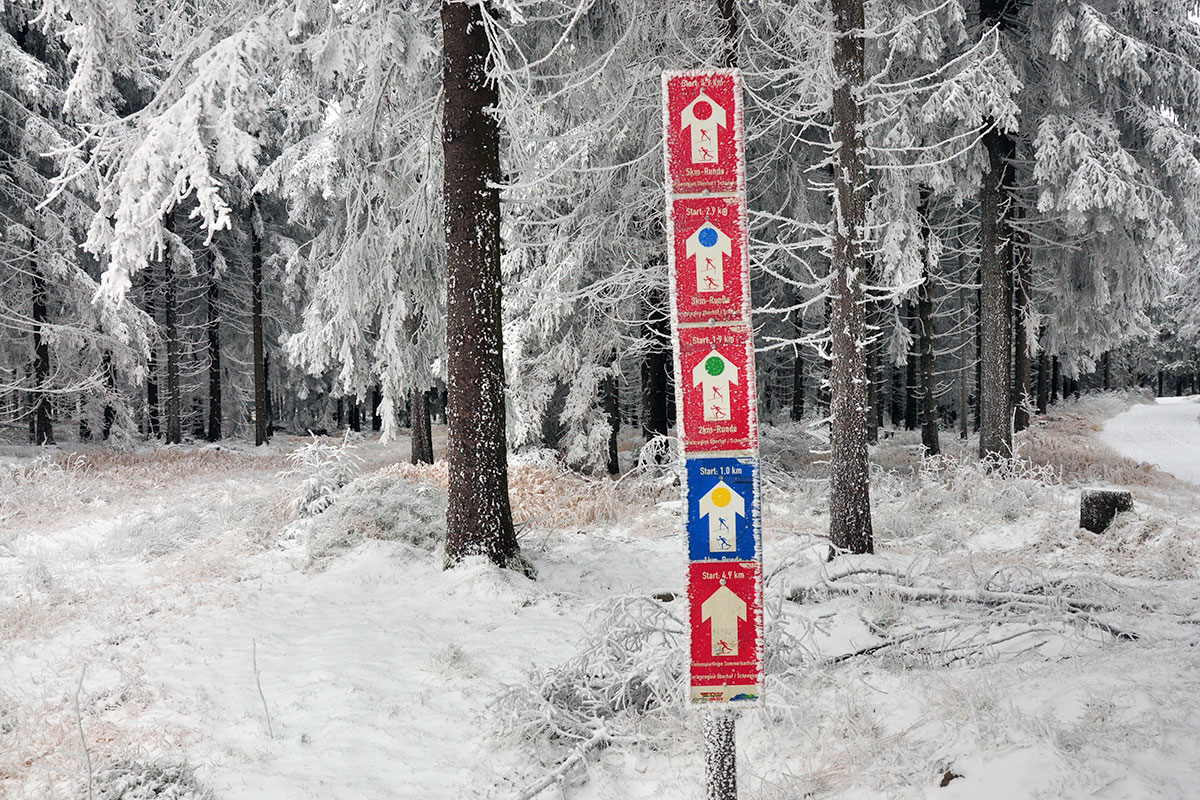 Rennsteig 2021 (Foto: Klaus Wahl)