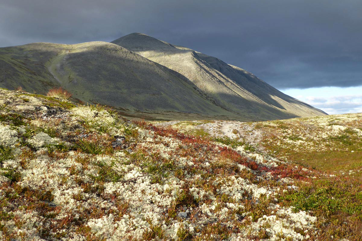 Rondane: Storronden im Abendlicht (Andrea Schäfer)