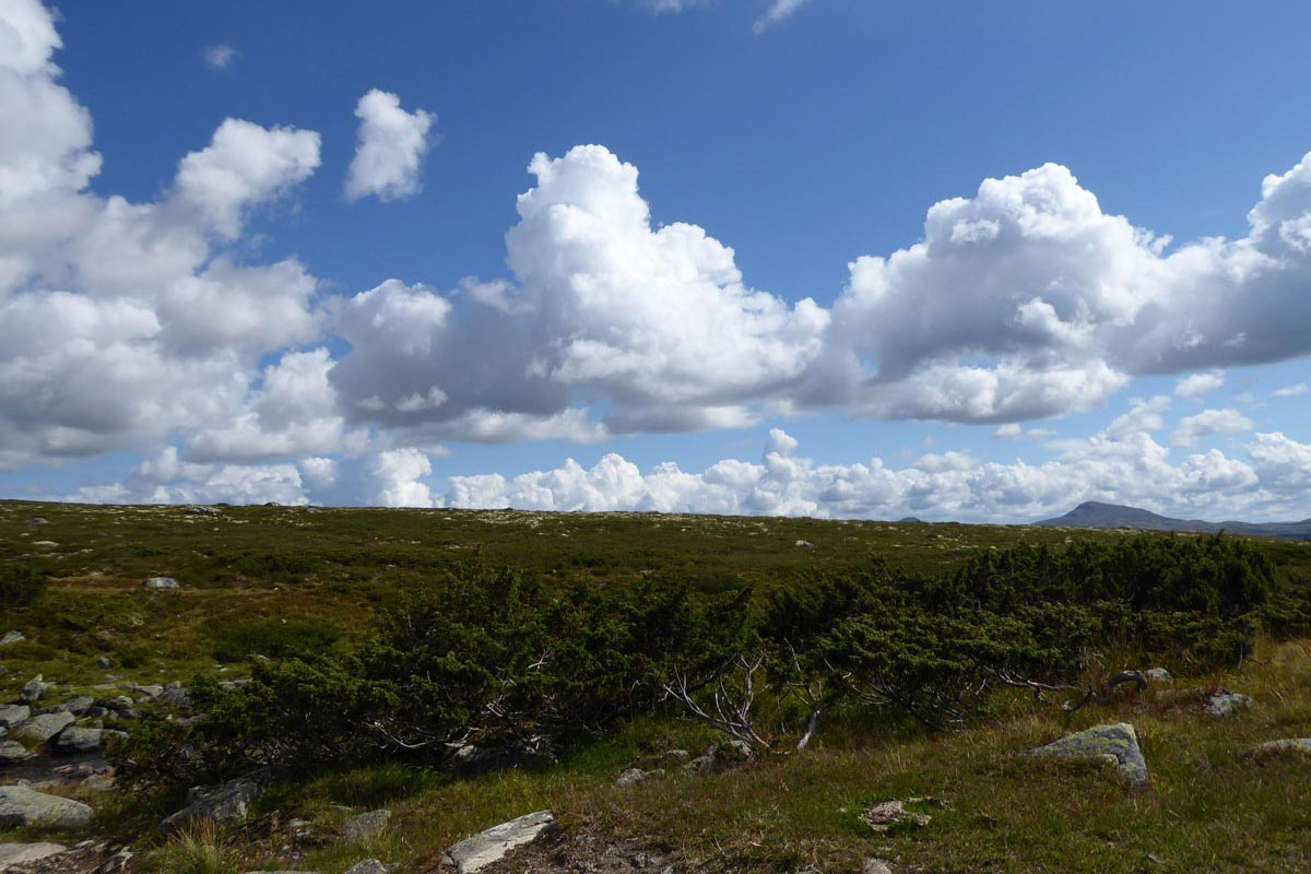 Rondane: Wetterwolken (Andrea Schäfer)