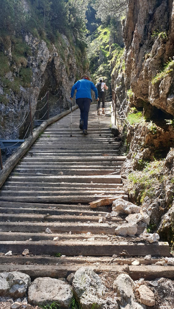 Rosengarten (Ina Ehrhardt, Christian Lange)
