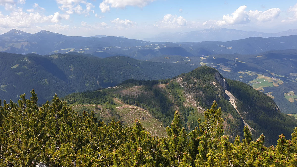 Rosengarten (Ina Ehrhardt, Christian Lange)
