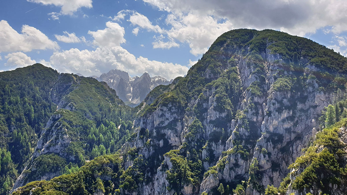 Rosengarten (Ina Ehrhardt, Christian Lange)