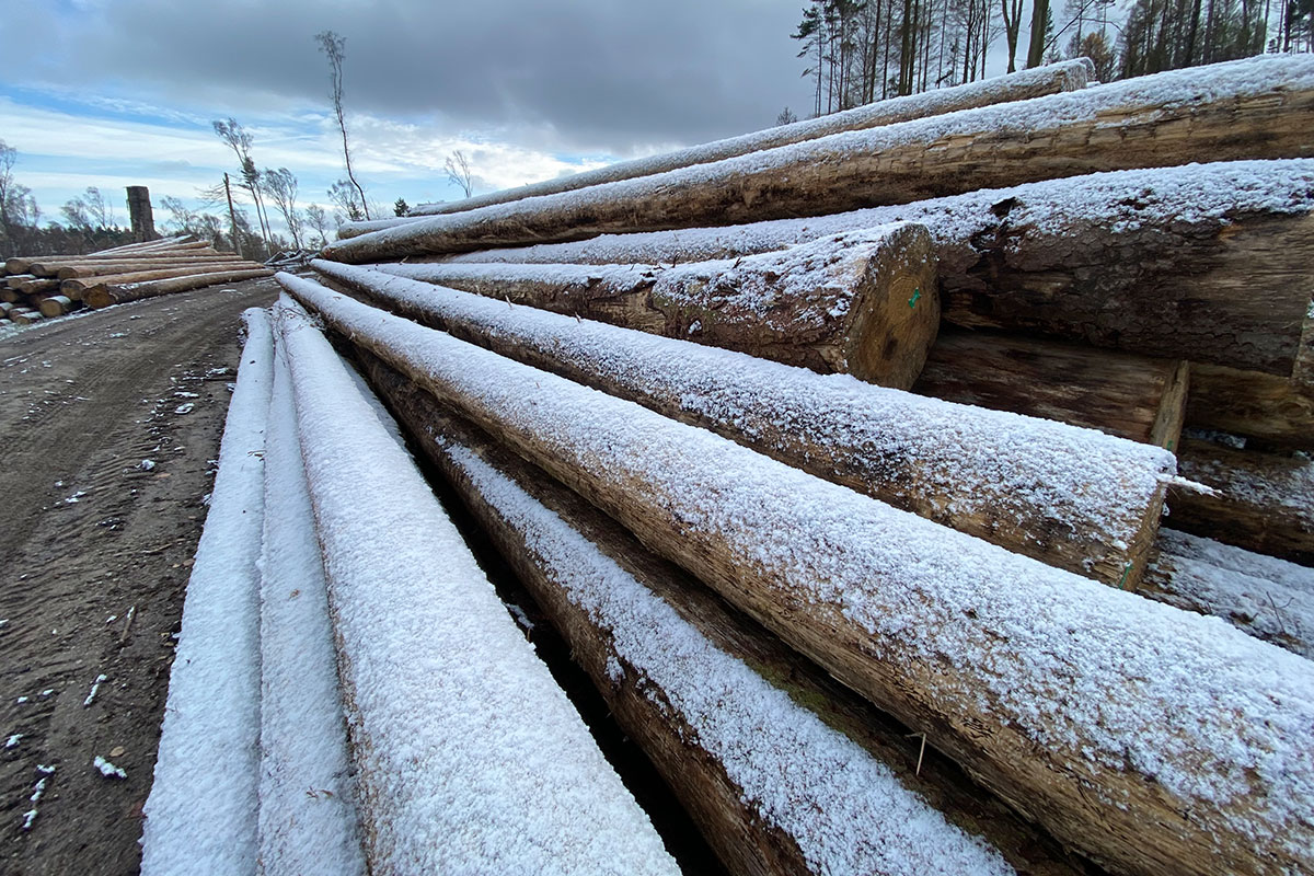 2021 Schmoddertour: am Kambühl (Foto: Andreas Kuhrt)
