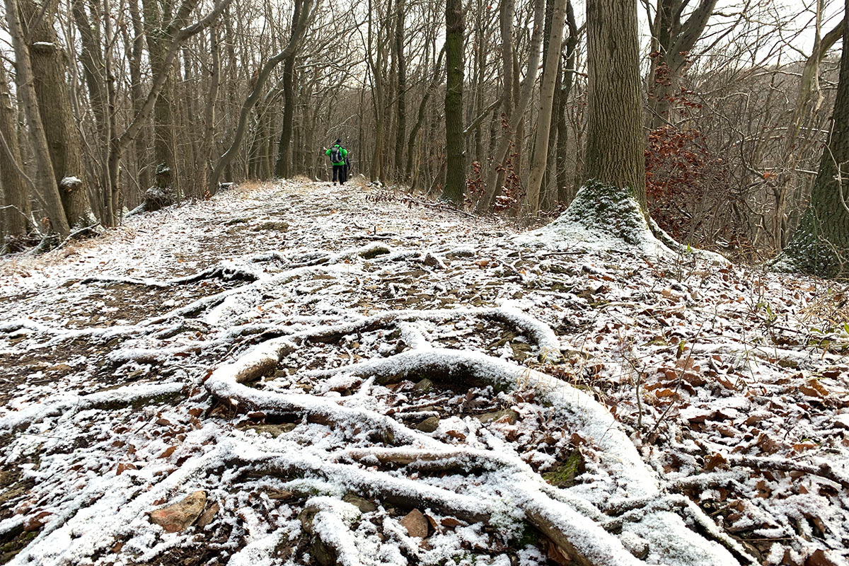 2021 Schmoddertour: Großer Hörselberg (Foto: Andreas Kuhrt)