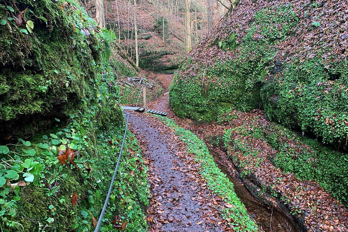 2021 Schmoddertour: Landgrafenschlucht bei Eisenach (Foto: Andreas Kuhrt)