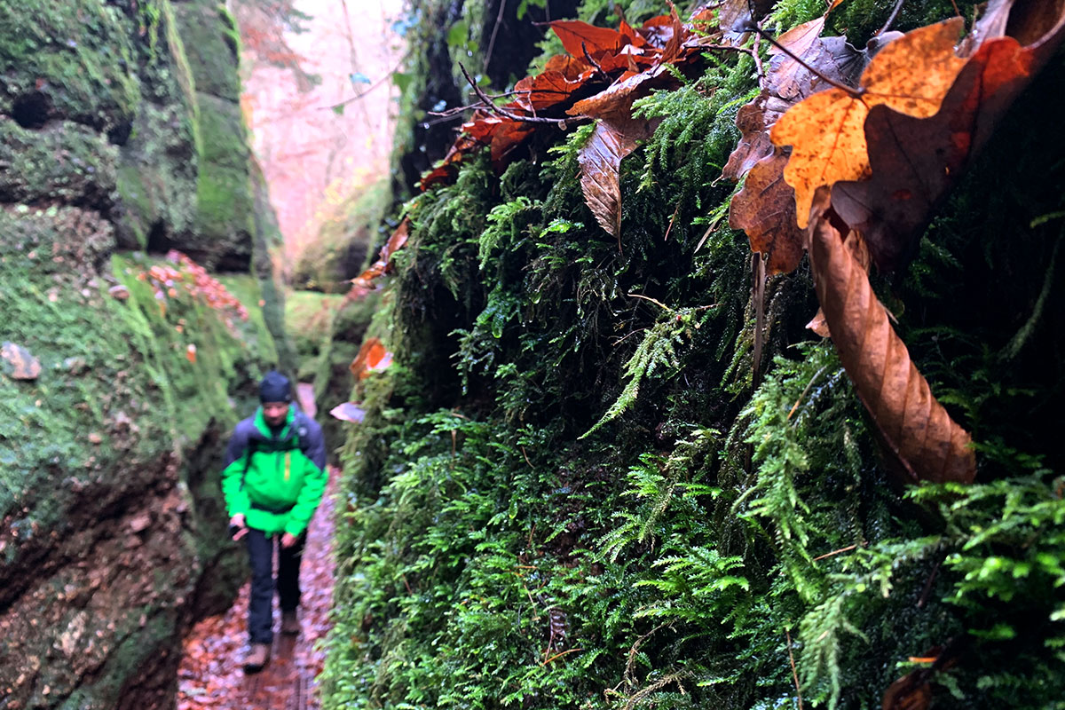 2021 Schmoddertour: Drachenschlucht bei Eisenach (Foto: Andreas Kuhrt)