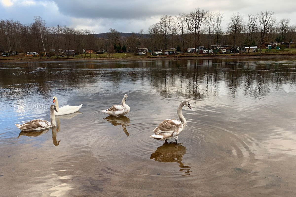 2021 Schmoddertour: Altenberger See (Foto: Andreas Kuhrt)