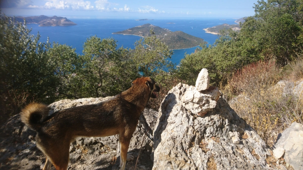 2021 Türkei: Lykischer Weg (Foto: Monika Schild)