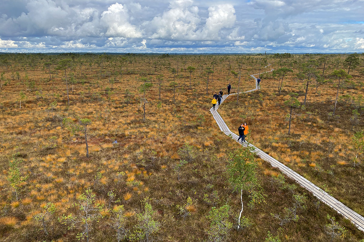 2022 Estland: Soomaa NP: Kuresoo-Moor-Weg (Foto: Andreas Kuhrt)