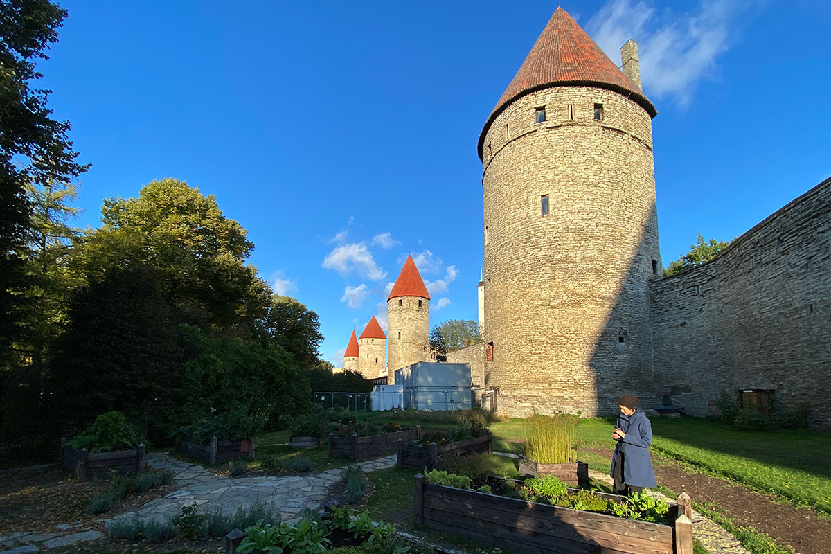 2022 Estland: Tallinn: Gemeinschaftsgärten an der Stadtmauer (Foto: Andreas Kuhrt)