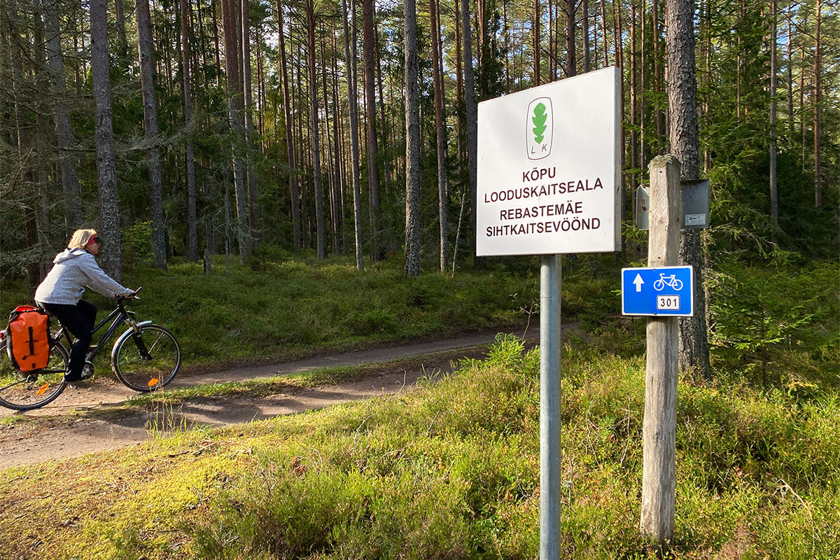 2022 Estland: Hiiumaa: Kõpu-Radweg (Foto: Andreas Kuhrt)