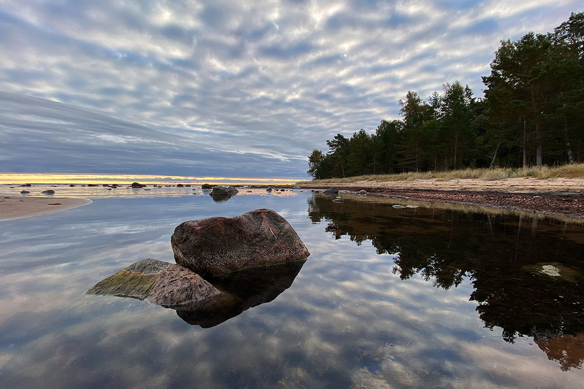 2022 Estland: Hiiumaa: Halbinsel Kõpu: Palli Strand (Foto: Andreas Kuhrt)