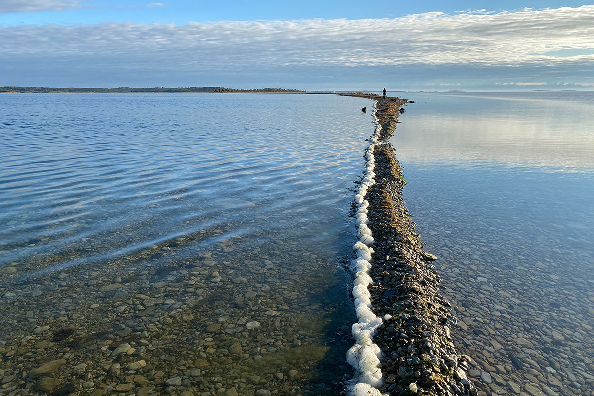 2022 Estland: Hiiumaa: Sääre Tirp (Schienbein) (Foto: Andreas Kuhrt)