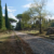 2022 Via Appia Antica: diente zu Römerzeiten auch als Kreuzigungsweg (Foto: Monika Schild)