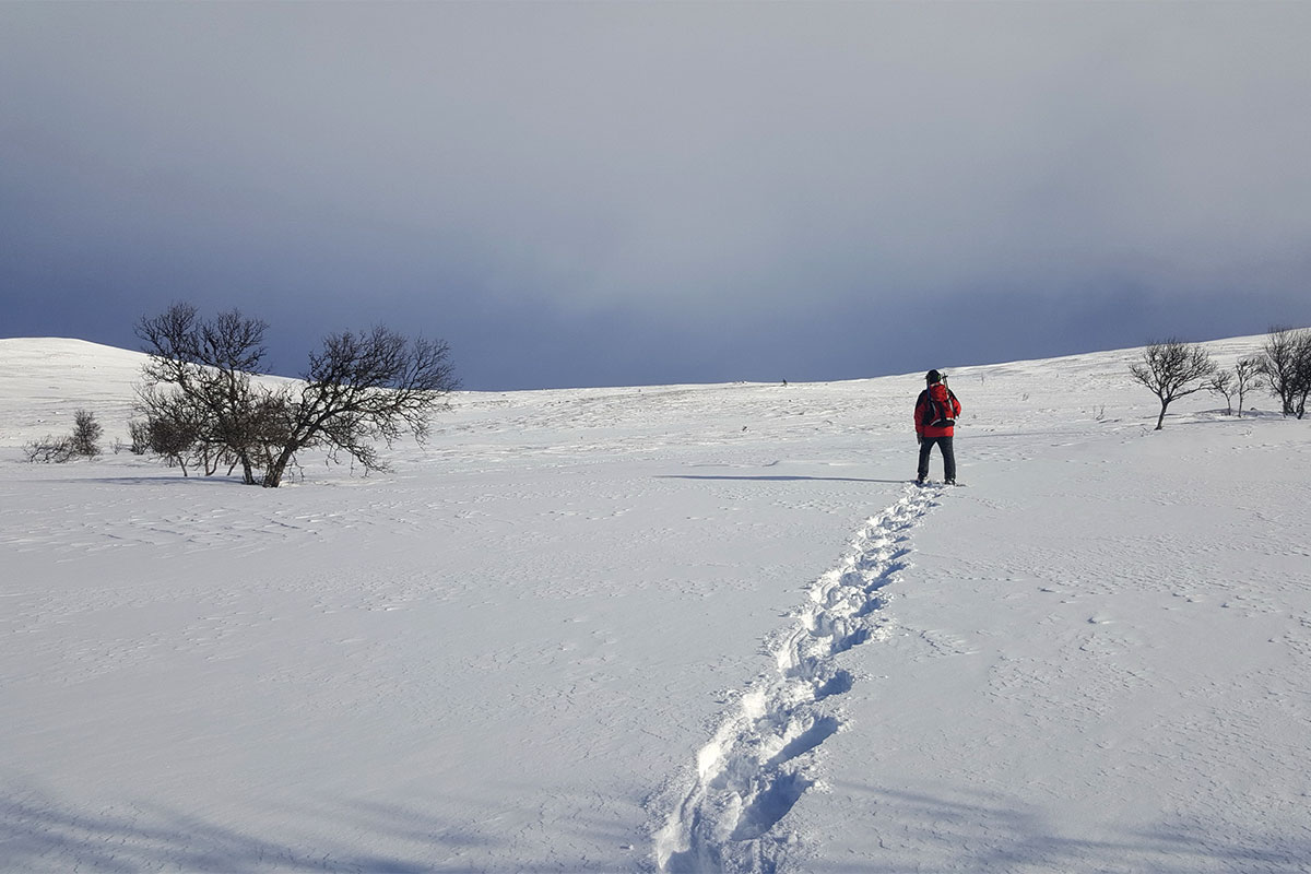 2022 Jämtland, Schweden: Oviksfjäll (Silvia Wahl)