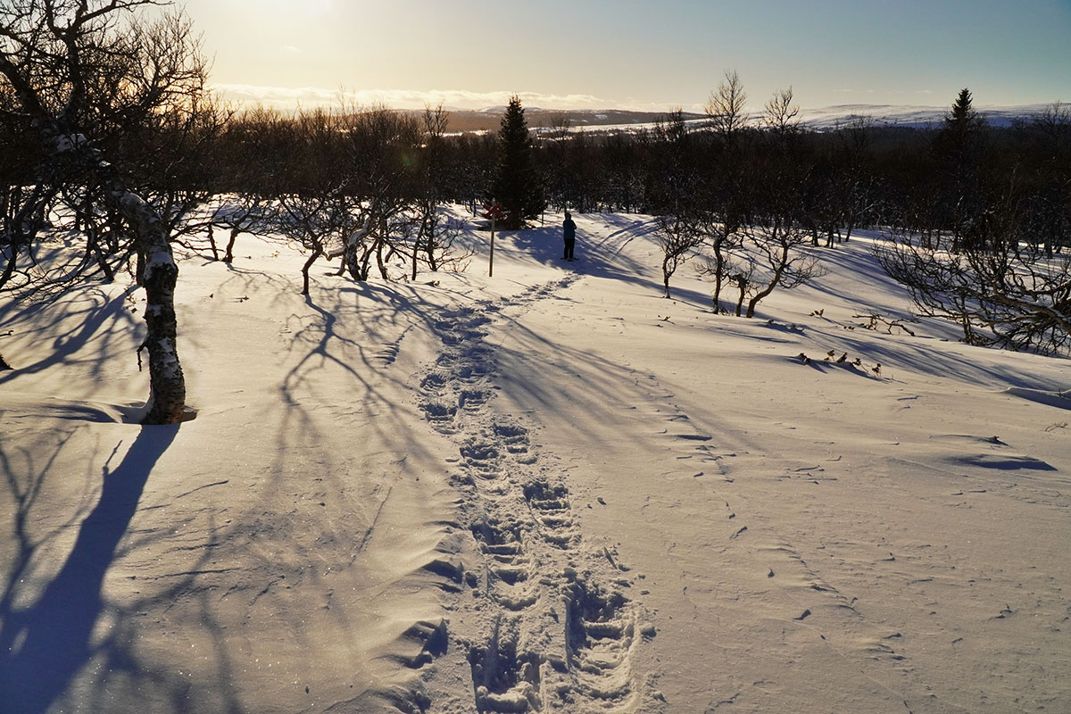 2022 Jämtland, Schweden: Oviksfjäll (Klaus Wahl)