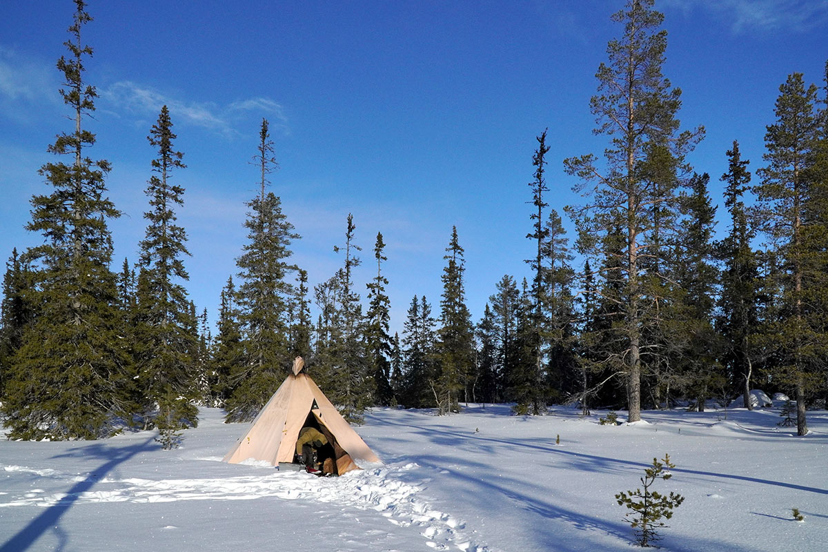 2022 Jämtland, Schweden: Hundeschlittentour (Klaus Wahl)