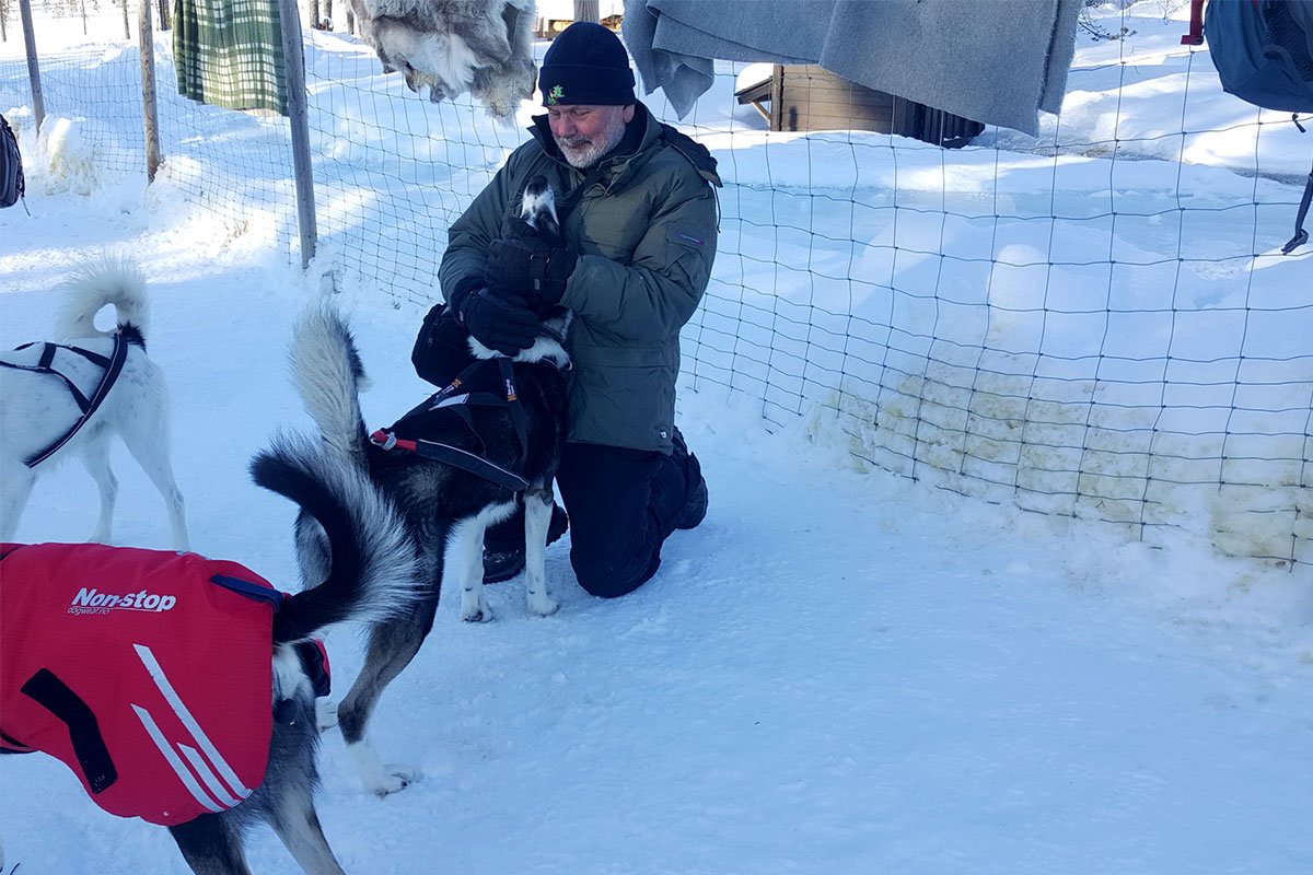 2022 Jämtland, Schweden: Hundeschlittentour (Silvia Wahl)