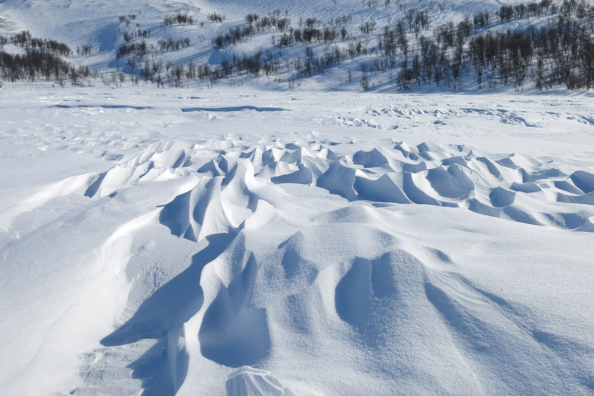 2022: Schweden: Padjelanta NP (Foto: Matthias Michalowski)