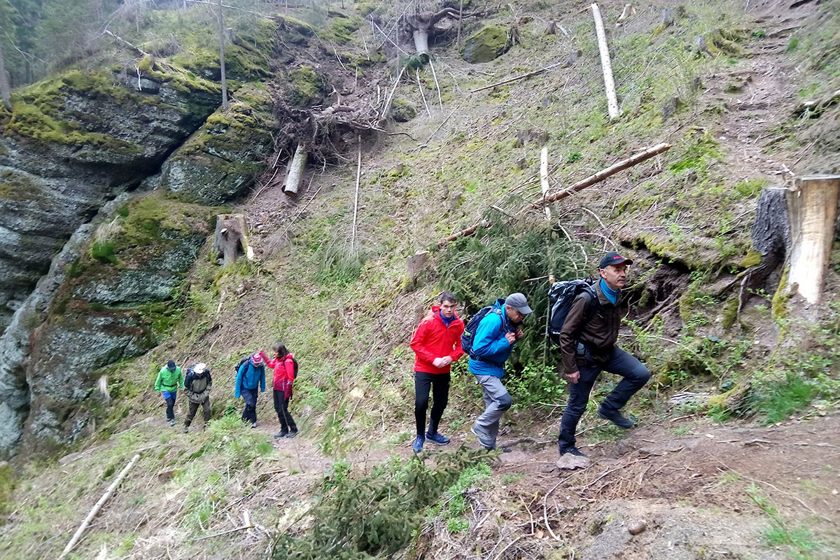 Frühlingswanderung bei Elgersburg, 24.04.2022 (Foto: Klaus Wahl)