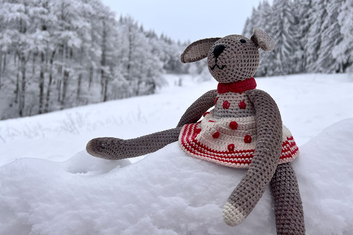 DAV Suhl: Schneeschuhwanderung: Zella-Mehlis-Heinrichsbach: an der Teckelhütte (Foto: Manuela Hahnebach, 29.01.2023)