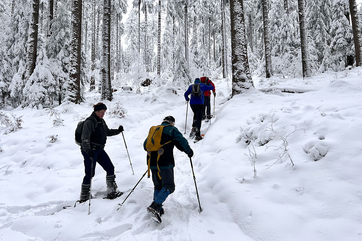 DAV Suhl: Schneeschuhwanderung: Zella-Mehlis-Heinrichsbach (Foto: Manuela Hahnebach, 29.01.2023)