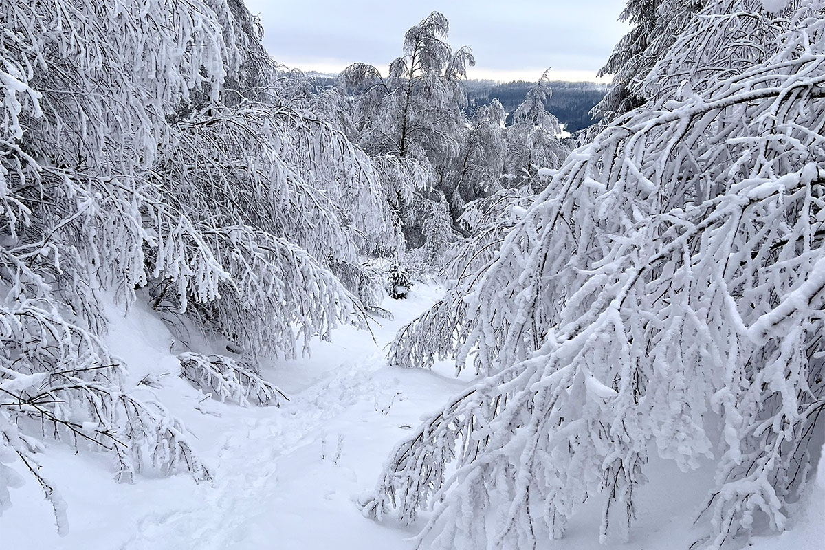 DAV Suhl: Schneeschuhwanderung: Zella-Mehlis-Heinrichsbach (Foto: Manuela Hahnebach, 29.01.2023)