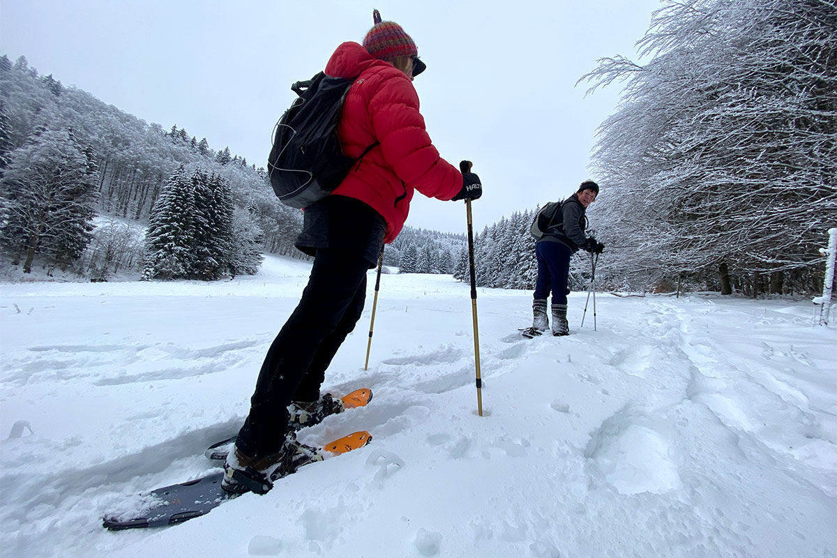 DAV Suhl: Schneeschuhwanderung: Zella-Mehlis-Heinrichsbach (Foto: Andreas Kuhrt, 29.01.2023)