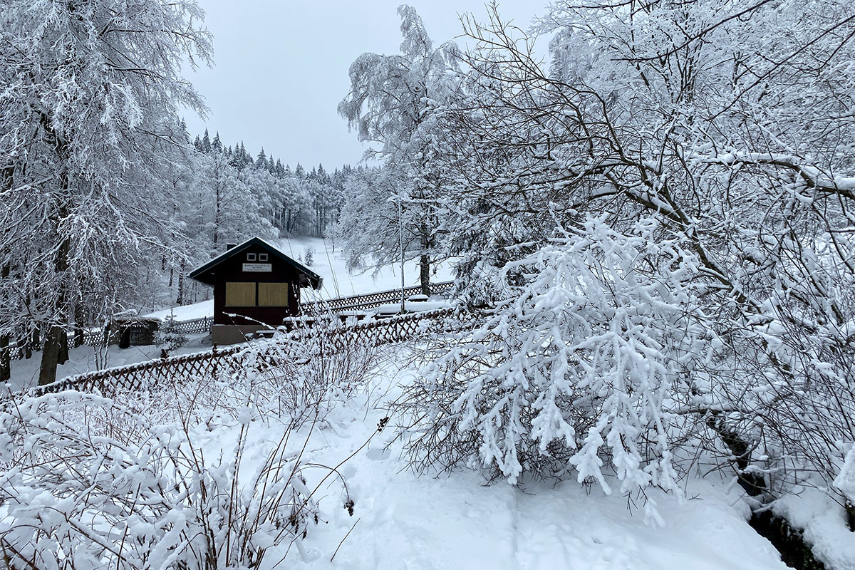 DAV Suhl: Schneeschuhwanderung: Zella-Mehlis-Heinrichsbach: Teckelhütte (Foto: Andreas Kuhrt, 29.01.2023)