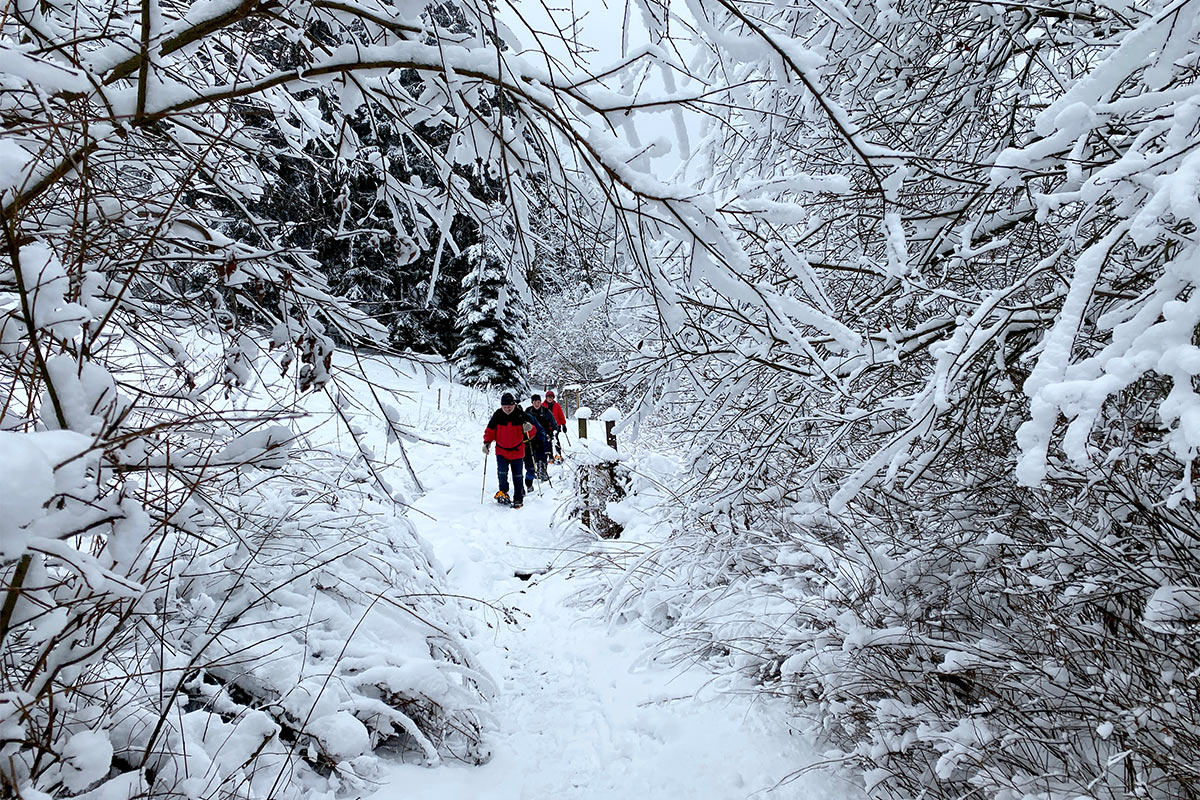 DAV Suhl: Schneeschuhwanderung: Zella-Mehlis-Heinrichsbach: an der Teckelhütte (Foto: Andreas Kuhrt, 29.01.2023)