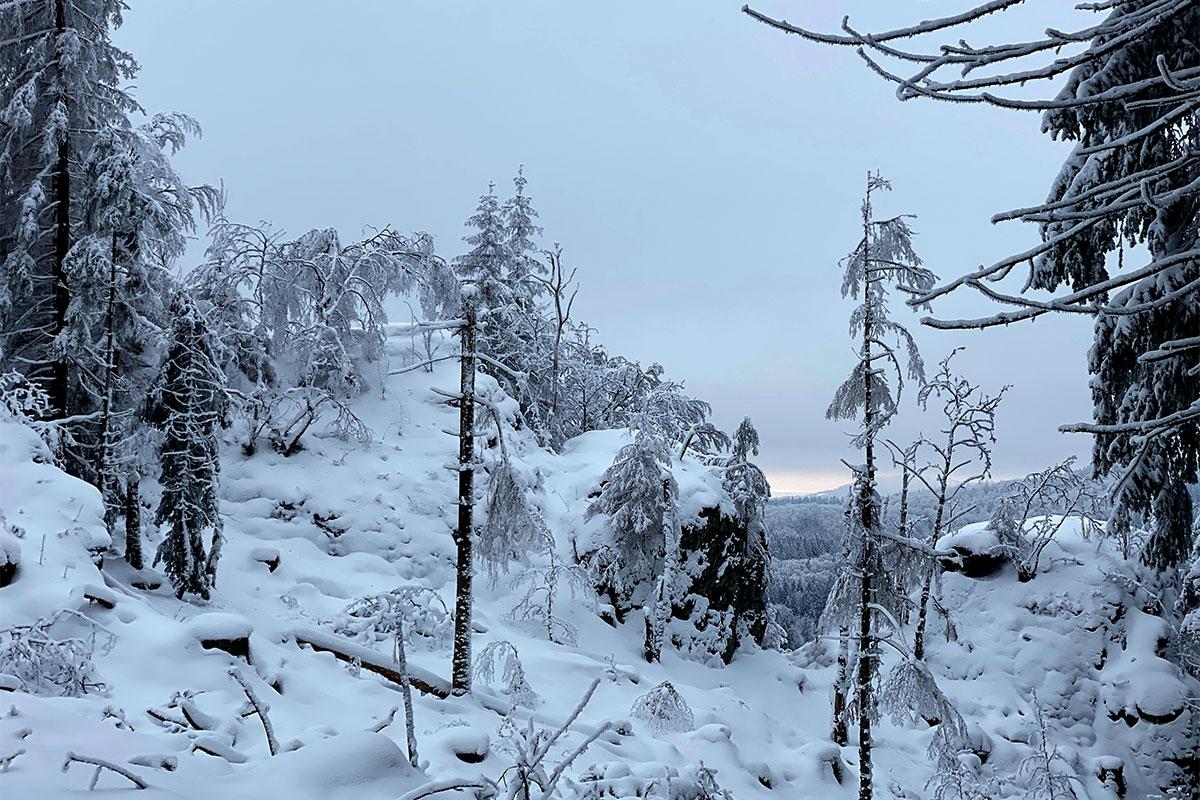 DAV Suhl: Schneeschuhwanderung: Zella-Mehlis-Heinrichsbach: am Heinrichbacher Stein (Foto: Andreas Kuhrt, 29.01.2023)