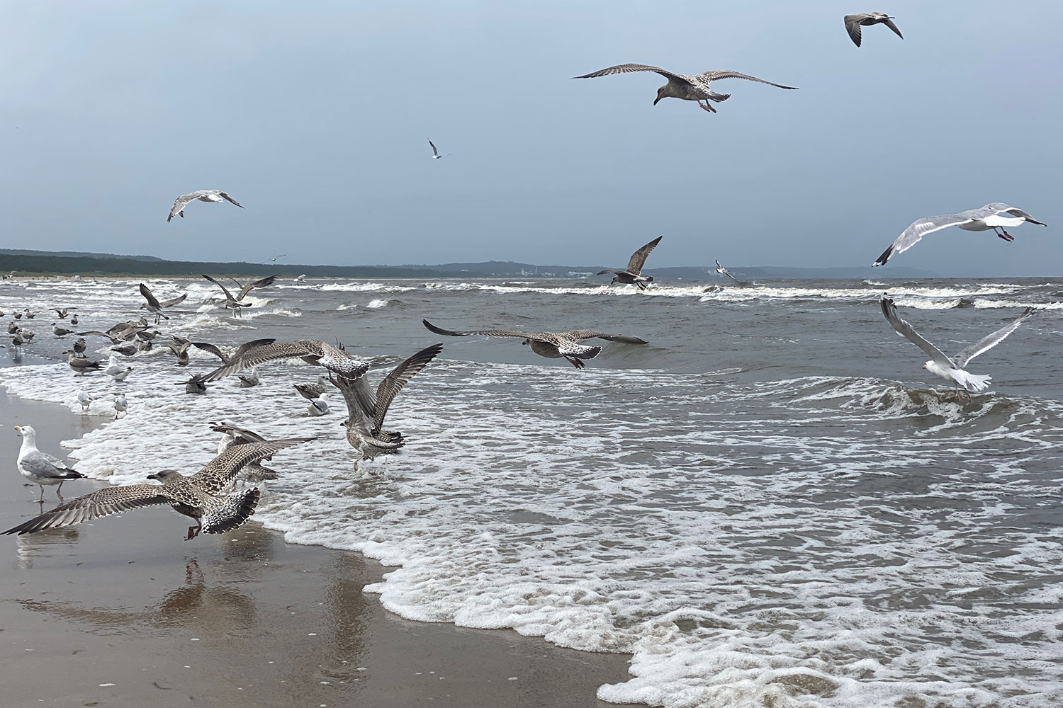 Usedom: bei Swinemünde (Andreas Kuhrt)