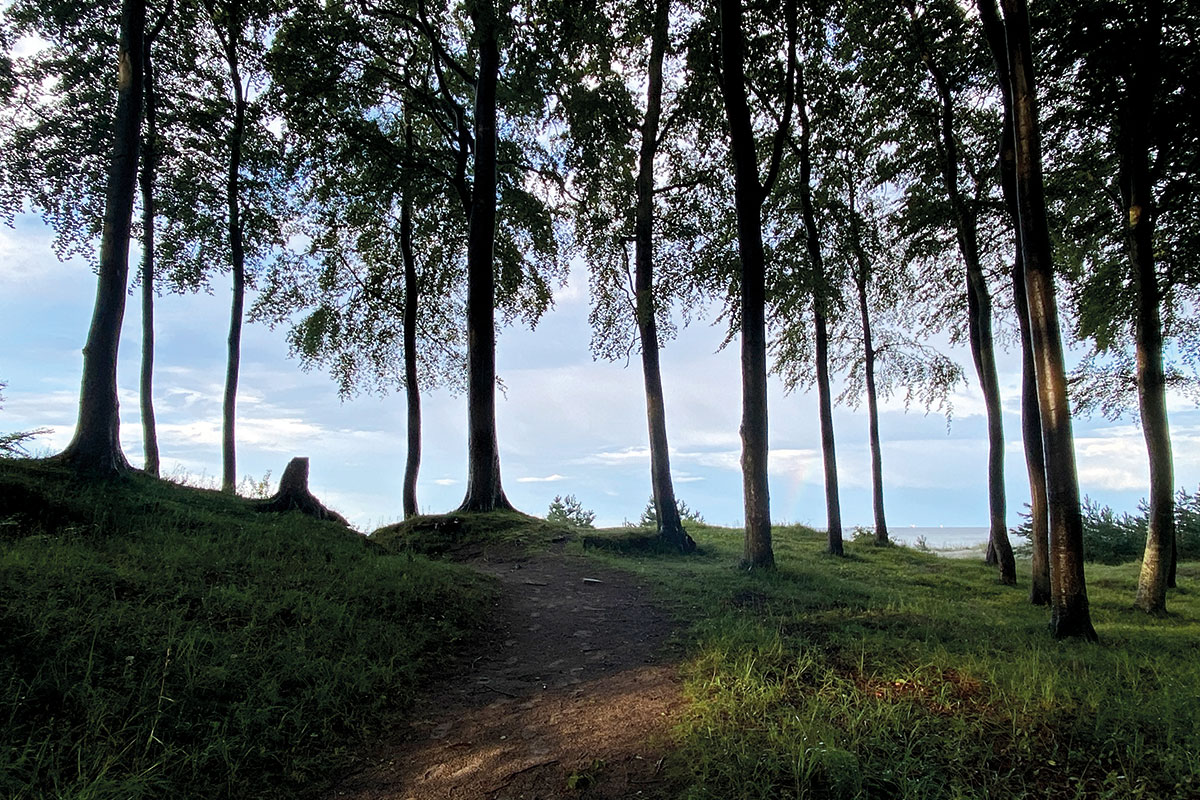 Usedom: bei Ückeritz (Andreas Kuhrt)